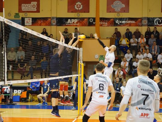 app-krispol-zaksa-strzelce-opolskie08