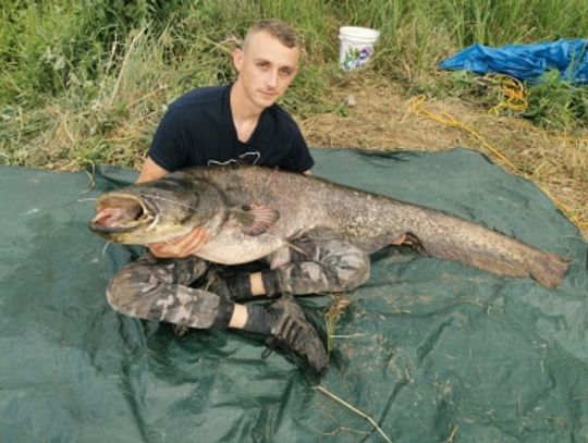 106016842_1171378169895835_5802074209386621335_n