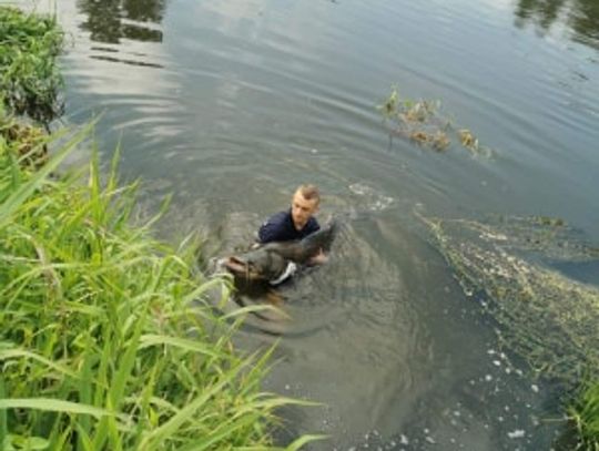 107295059_3087455314682580_4699399880499057361_n