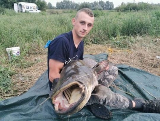 74674991_2732688227019867_1404733377091192806_n