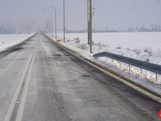 otwarcie-kolejnego-odcinka-obwodnicy-18-01-202110