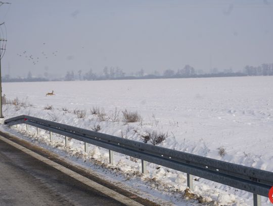 otwarcie-kolejnego-odcinka-obwodnicy-18-01-202112