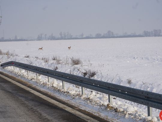 otwarcie-kolejnego-odcinka-obwodnicy-18-01-202114