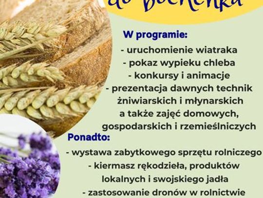 232026488_4628536287181344_411237739893724292_n