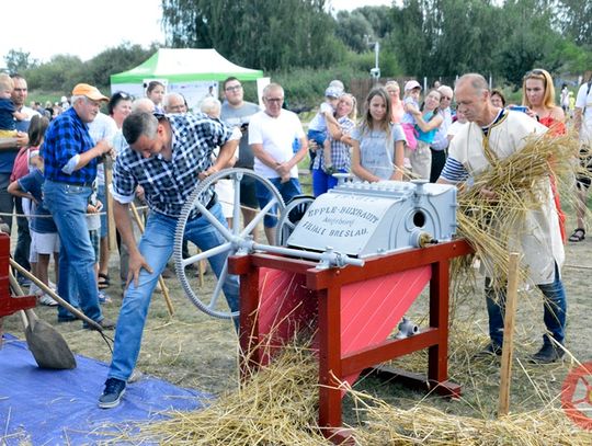 festyn-od-ziarenka-do-bochenka-pyzdry-15-08-18